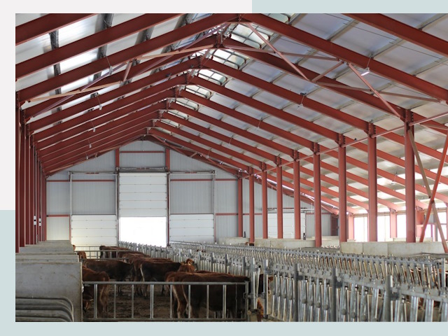 Строительство коровников в Лабинске