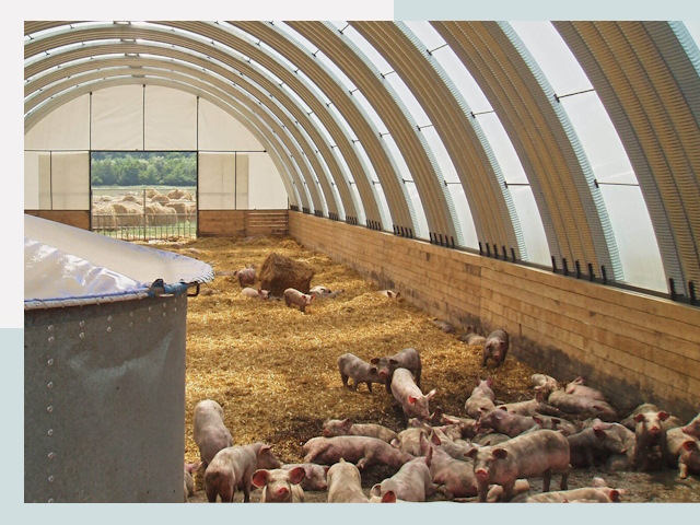 Строительство свинарников в Лабинске