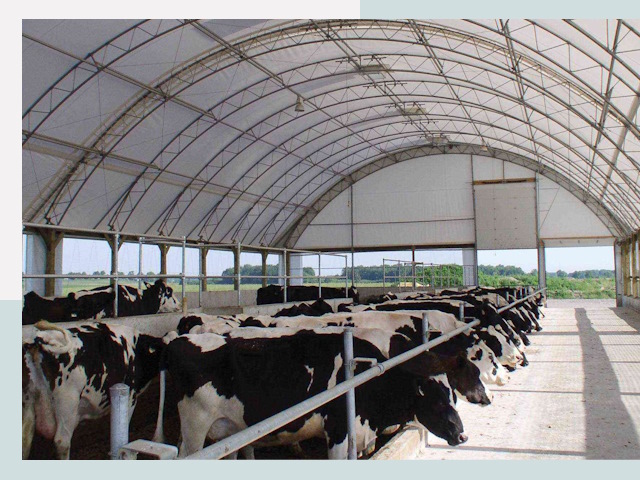 Тентовые коровники в Лабинске